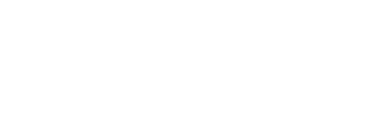 Forerunner